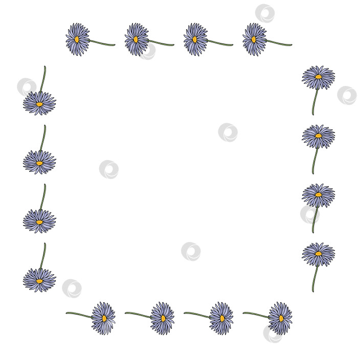 Скачать Квадратная рамка с горизонтальной астрой dumosus Blaubox на белом фоне. Векторное изображение. фотосток Ozero