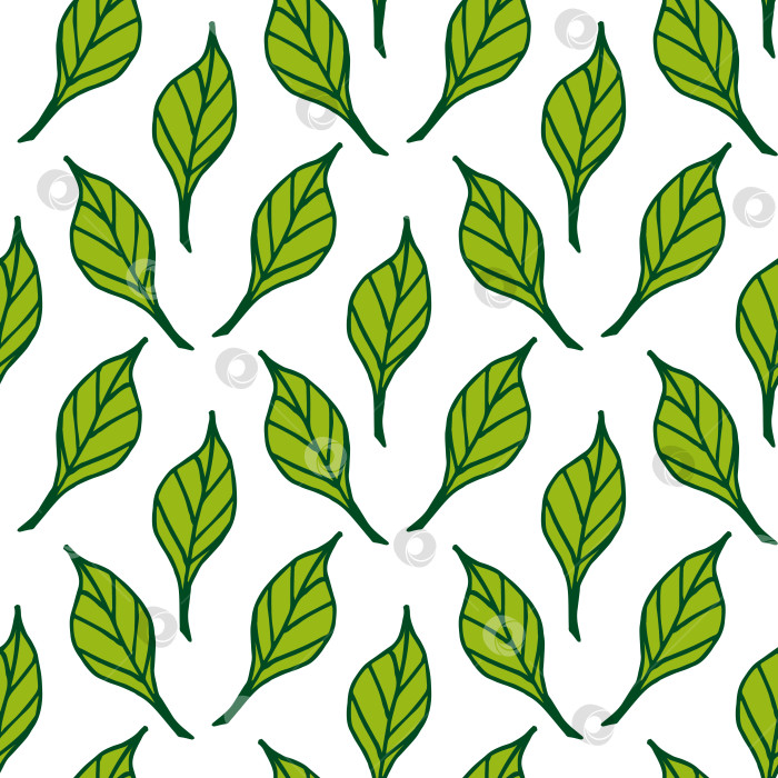 Скачать Бесшовный узор с потрясающими зелеными листьями на белом фоне. Векторное изображение. фотосток Ozero