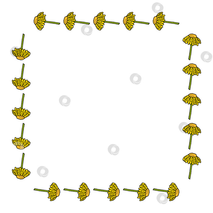 Скачать Квадратная рамка с потрясающими горизонтальными желтыми цветами на белом фоне. Векторное изображение. фотосток Ozero