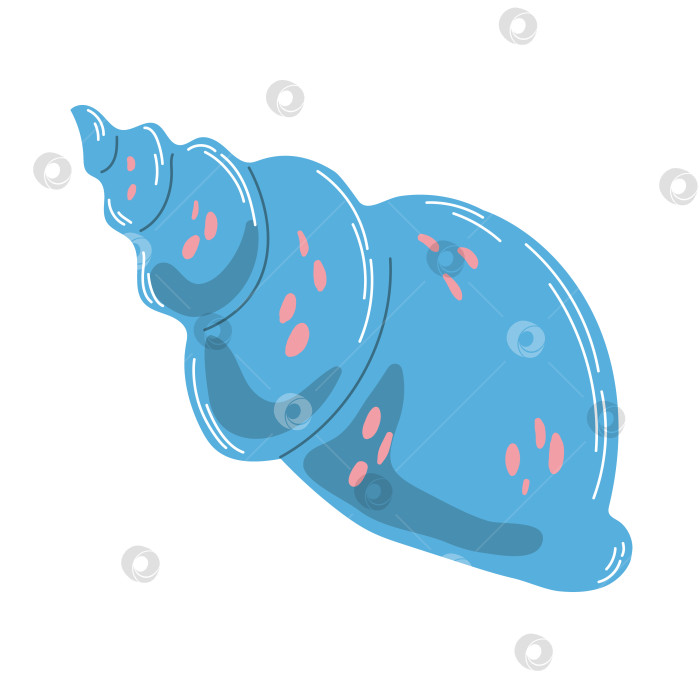 Скачать Изолированная голубая морская раковина с розовыми пятнами в плоском векторном стиле, нарисованном от руки, на белом фоне. Морская флора и фауна. Для печати, дизайна, плаката фотосток Ozero