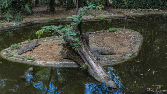 [object Object] undefined