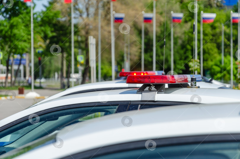 Скачать Мигалка полицейской машины. На заднем плане флаги России не в фокусе. фотосток Ozero