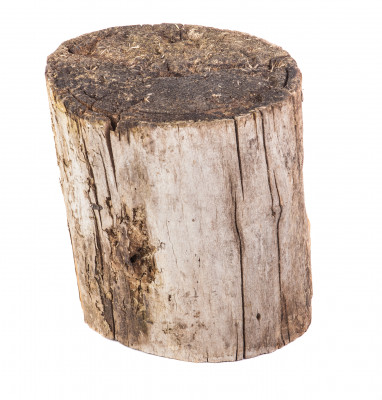 [object Object] undefined
