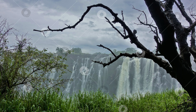 Скачать Знаменитый водопад Виктория. Вокруг ущелья стоит туман от плещущейся воды. фотосток Ozero