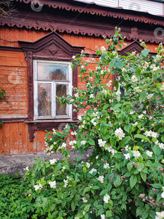 Скачать Домик в Серпухове. фотосток Ozero