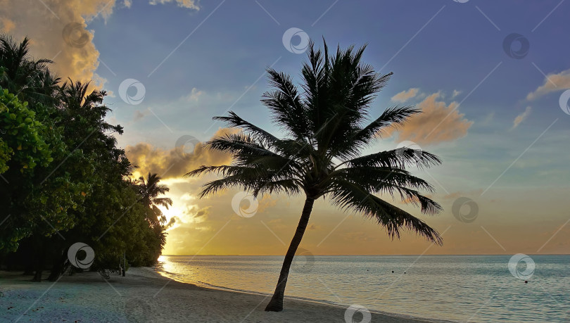 Скачать На Мальдивах начинается рассвет. Солнце встает из-за тропических зарослей фотосток Ozero