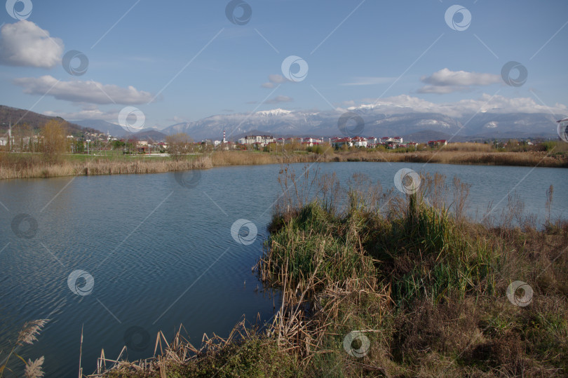 Скачать Орнитопарк фотосток Ozero