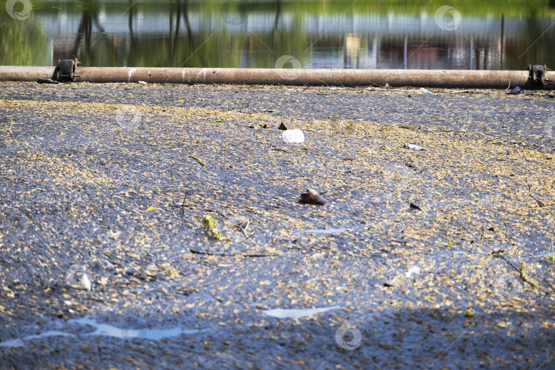 Скачать Грязная вода. Экологическая катастрофа, река завалена пластиковыми бутылками и полиэтиленом, моторным маслом фотосток Ozero