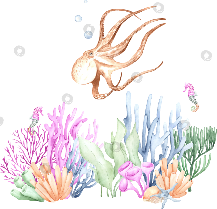 Скачать Акварельная иллюстрация осьминога фотосток Ozero
