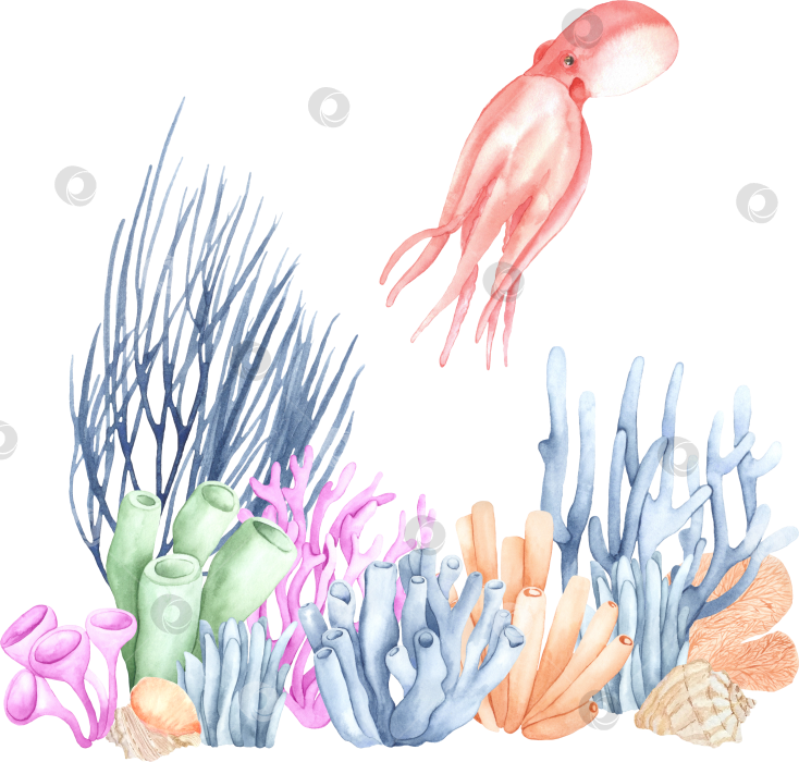 Скачать Акварельная милая иллюстрация осьминога в коралловом рифе фотосток Ozero