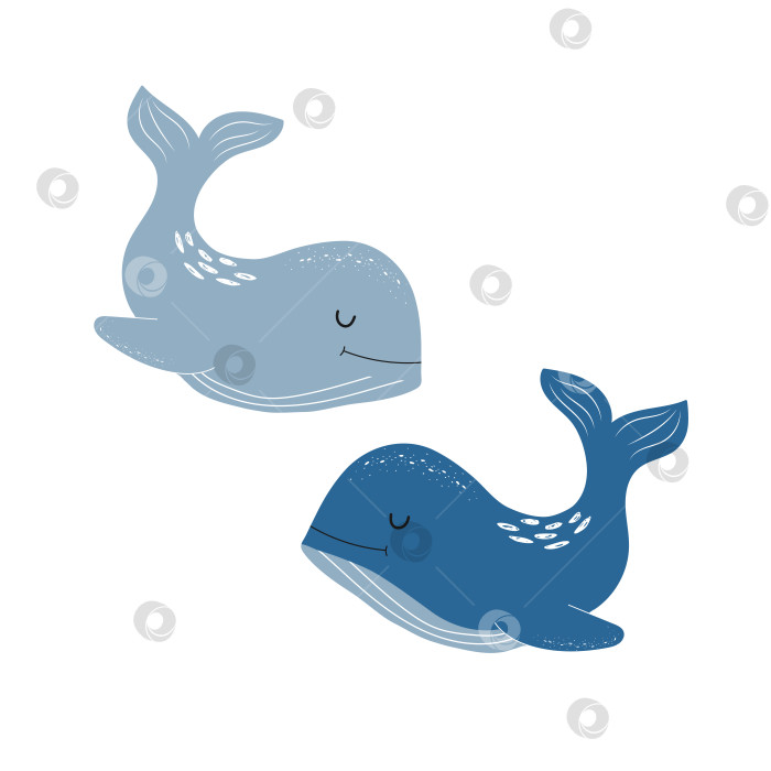 Скачать Милые мультяшные киты на изолированном белом фоне. Рисунок на детскую тематику, принт, обои. фотосток Ozero