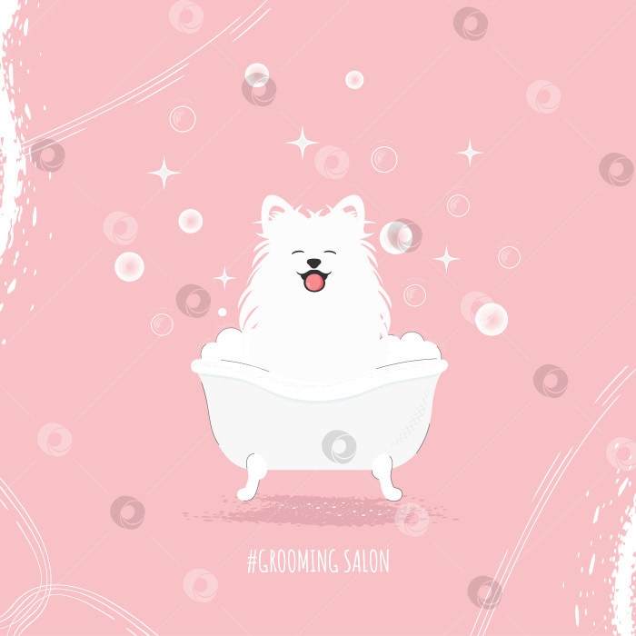 Скачать Симпатичная белая пушистая собачка сидит и улыбается, высунув язык, в ванночке с пузырьками. концепция салона груминга фотосток Ozero
