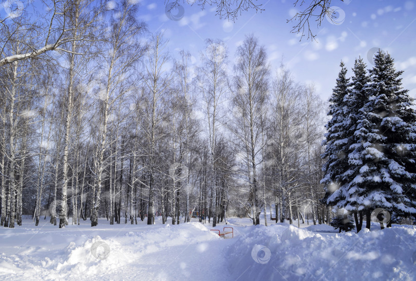 Скачать Волшебный зимний пейзаж. фотосток Ozero