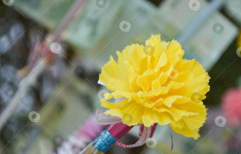 Скачать Искусственный цветок на буддийском денежном дереве. Выборочный фокус. фотосток Ozero
