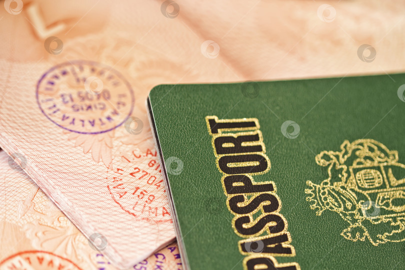 Скачать Страница паспорта со штампами фотосток Ozero