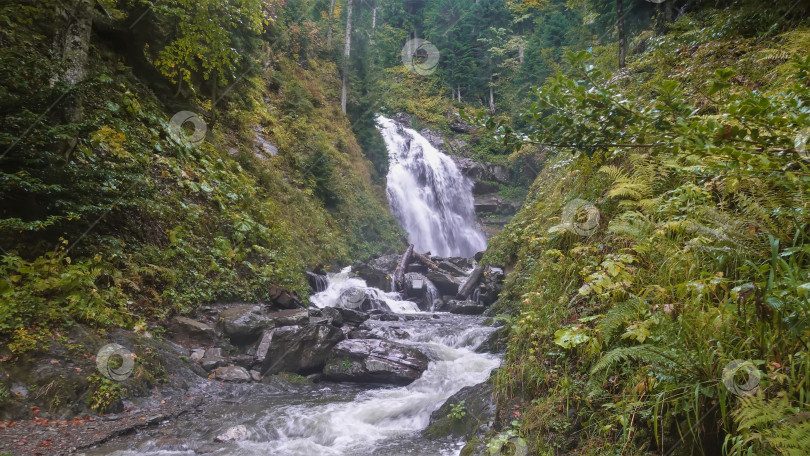 Скачать Осень в лесу. Водопад впадает в каменистое русло горной реки. фотосток Ozero