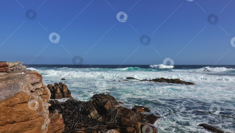 Скачать Морской пейзаж на мысе Доброй Надежды.  Южная Африка фотосток Ozero