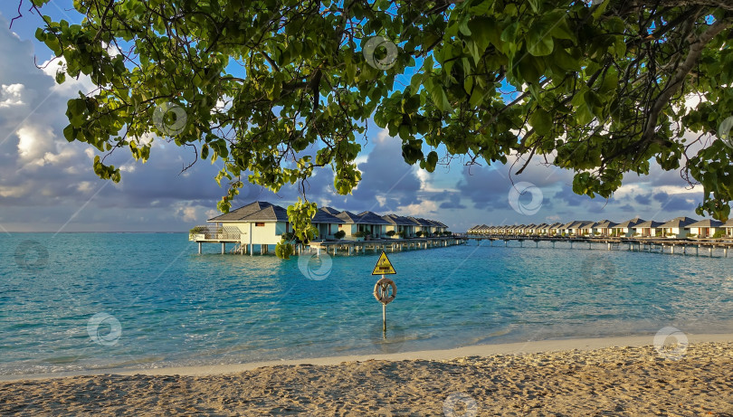 Скачать Раннее утро на Мальдивах. Ветви деревьев склонялись над песчаным пляжем. фотосток Ozero