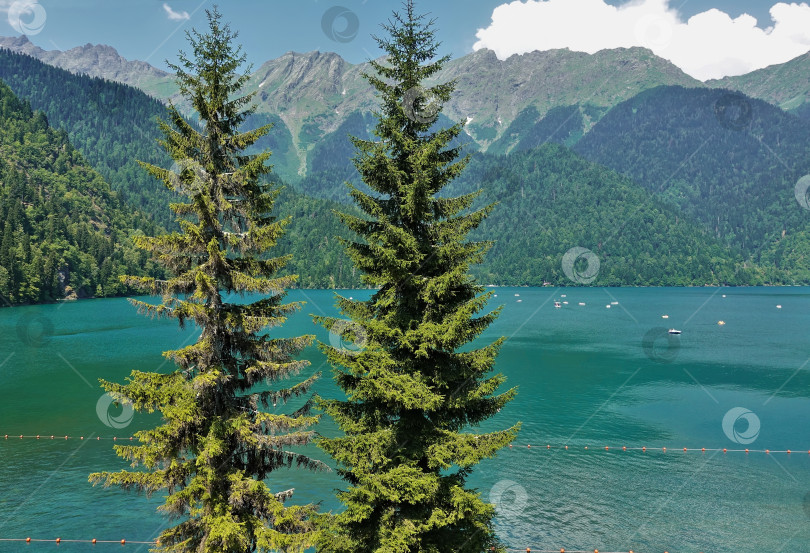 Скачать Прекрасное озеро Рица окружено Кавказскими горами. Абхазия. фотосток Ozero