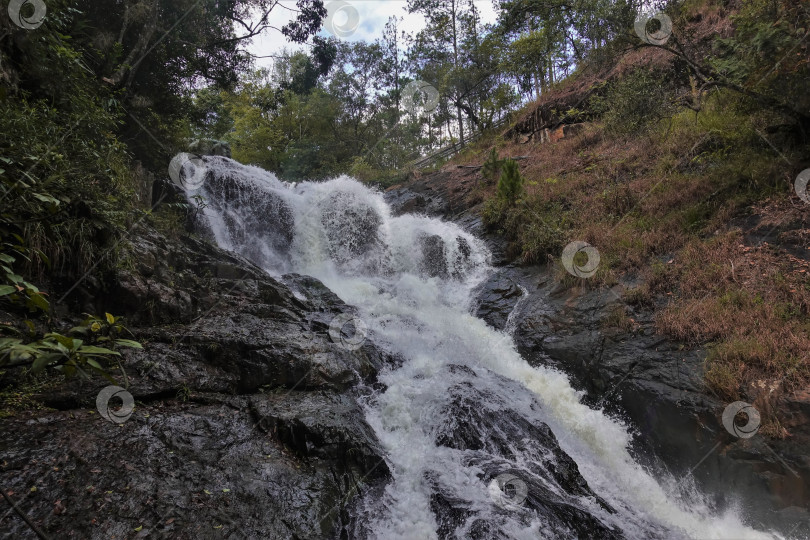 Скачать Водопад низвергается каскадами со скал. Повсюду зеленые растения. фотосток Ozero