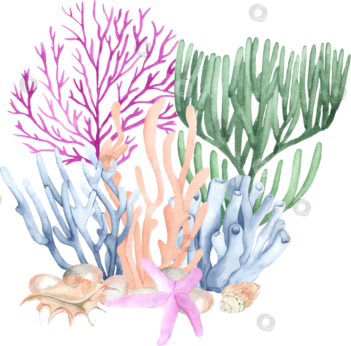 Скачать Акварельные кораллы и водоросли фотосток Ozero