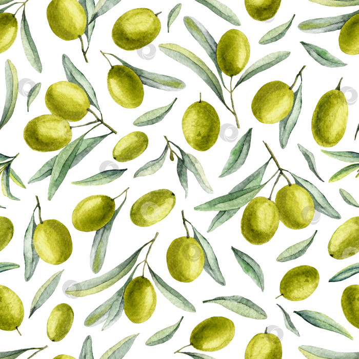 Скачать Акварельный бесшовный узор с зелеными плодами оливы и листьями. Нарисованный от руки фон для текстильного дизайна или масляной этикетки. Иллюстрация на белом изолированном фоне фотосток Ozero