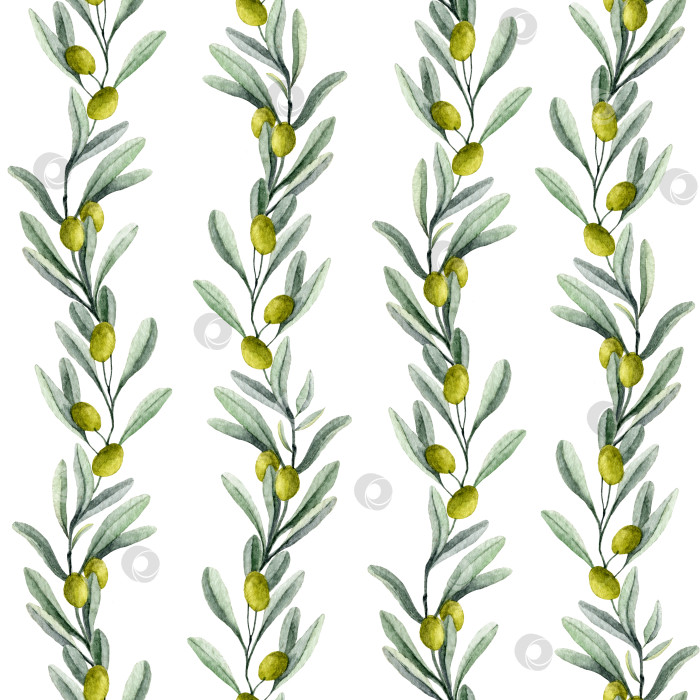 Скачать Бесшовный узор с оливковой ветвью и зелеными фруктами. Акварельный фон, нарисованный от руки, для текстильного дизайна или масляной этикетки фотосток Ozero