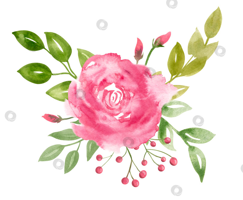 Скачать Абстрактная акварельная розовая роза с зелеными листьями. Нарисованная от руки иллюстрация цветка для открыток или свадебных приглашений. Ботанический рисунок на изолированном фоне. Цветочная композиция для любого дизайна фотосток Ozero