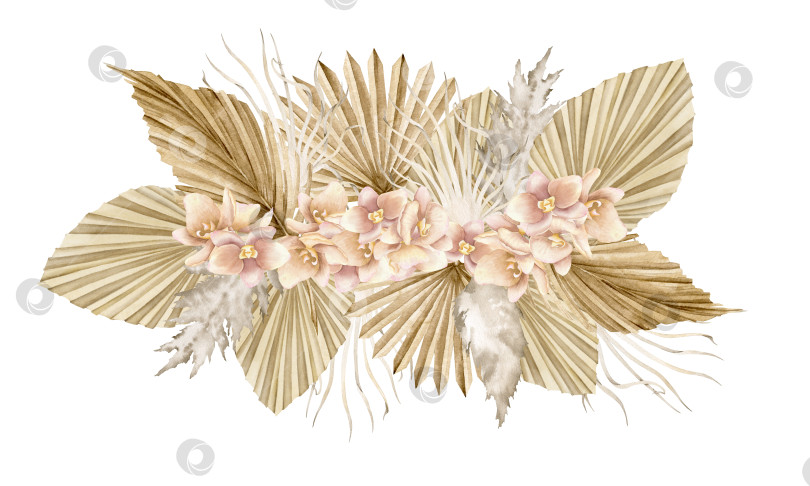 Акварельная цветочная иллюстрация с розовыми цветами орхидеи и засушеннымипальмовыми листьями в стиле бохо. Нарисованный от руки изолированный рисунокс экзотическими тропическими растениями и пампасной травой в пастельныхбежевых и золотистых тонах -