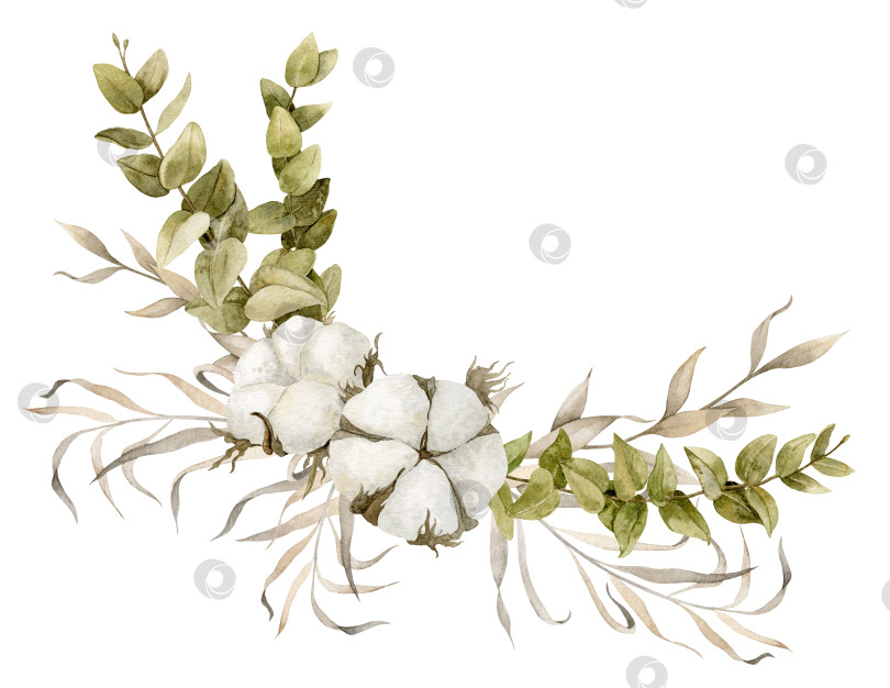 Скачать Ветки эвкалипта и цветы хлопчатника с засушенными растениями. Нарисованная от руки цветочная иллюстрация на изолированном фоне. Угловая композиция для поздравительных открыток или свадебных приглашений. Ботанический рисунок фотосток Ozero