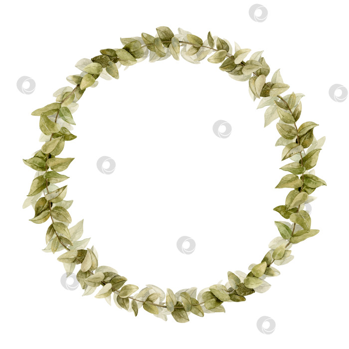 Скачать Акварельный венок из эвкалипта с зелеными листьями. Нарисованная от руки иллюстрация ботанической круглой рамки для свадебных приглашений или поздравительных открыток. Рисунок винтажной травяной каймы на изолированном фоне фотосток Ozero