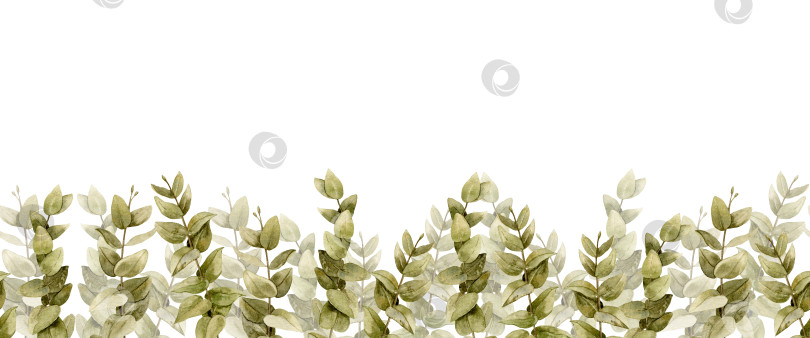 Скачать Зеленая эвкалиптовая кайма. Нарисованная вручную акварельная зеленая рамка для фона в деревенском стиле. Горизонтальный шаблон для баннера или свадебных приглашений. Изолированная винтажная ботаническая иллюстрация с растениями фотосток Ozero