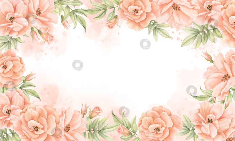 Скачать Акварельная цветочная рамка с розовыми цветами персикового и розового цветов. Нарисованный от руки шаблон для свадебного приглашения или поздравительной открытки. иллюстрация на изолированном фоне. Ботанический бордюр фотосток Ozero