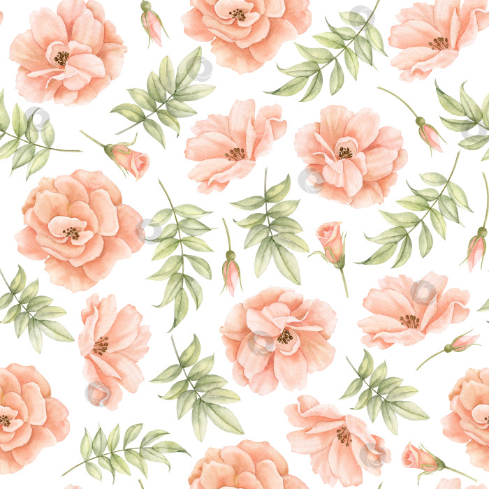 Скачать Акварельный бесшовный узор с розовыми цветами персикового цвета и зелеными листьями. Нарисованный вручную цветочный фон для текстильного дизайна или оберточной бумаги. Иллюстрация на изолированном фоне в винтажном стиле фотосток Ozero