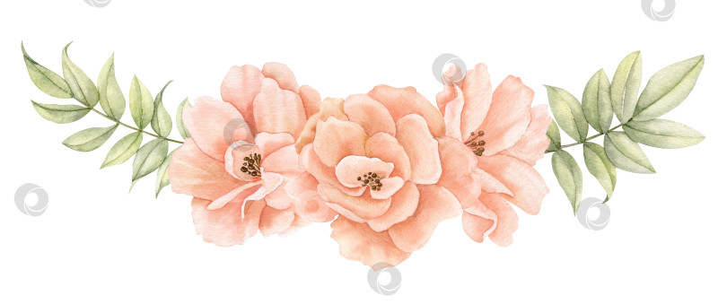 Скачать Акварельные розовые цветы. Нарисованная от руки цветочная иллюстрация цветущих растений на изолированном фоне для поздравительных открыток или свадебных приглашений в пастельно-бежевых и бледно-розовых тонах. Ботаническая композиция фотосток Ozero