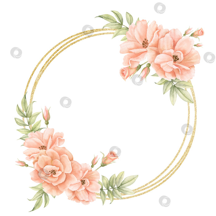 Скачать Цветочная акварель "Гнев" с розовыми цветами розы и золотой круглой рамкой. Нарисованный от руки шаблон для поздравительных открыток или свадебных приглашений на изолированном фоне. Круглая ботаническая винтажная кайма фотосток Ozero