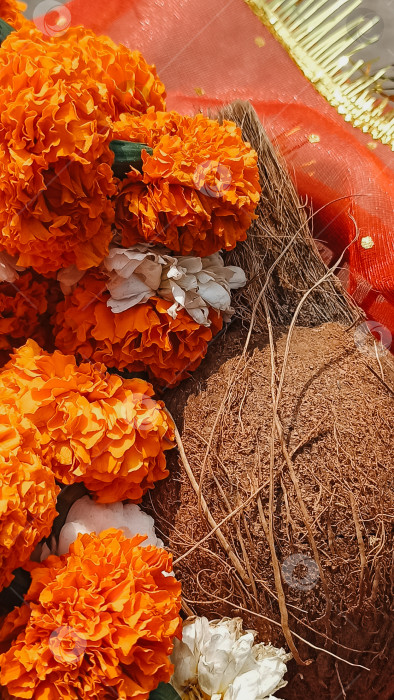 Скачать Предметы подношения: кокос и цветы бархатцы (мала) фотосток Ozero