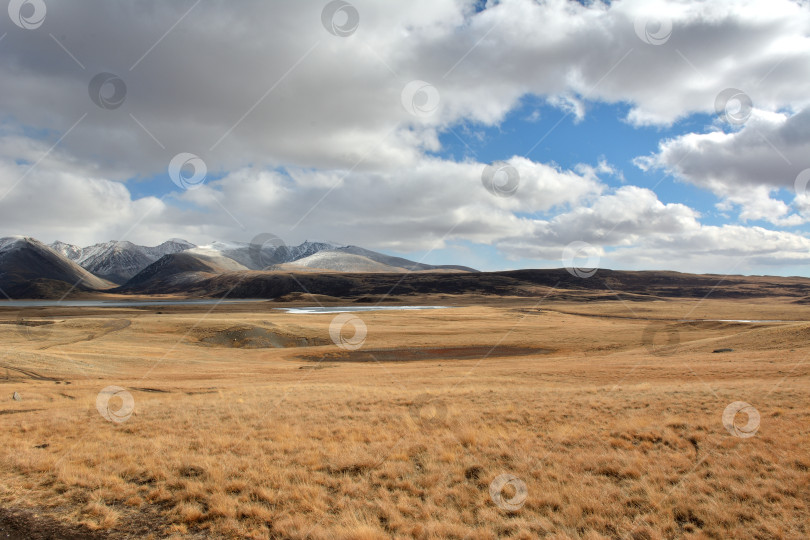 Скачать Огромная плоская степь с пожелтевшей сухой травой раскинулась у подножия заснеженных гор в пасмурный осенний день. фотосток Ozero