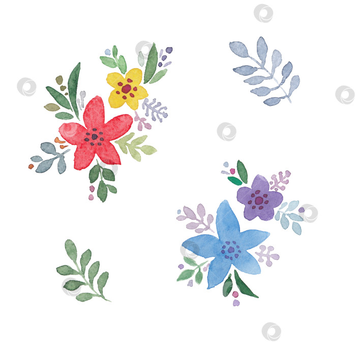 Скачать Набор акварельных абстрактных цветов. Разноцветные цветы и листья фотосток Ozero