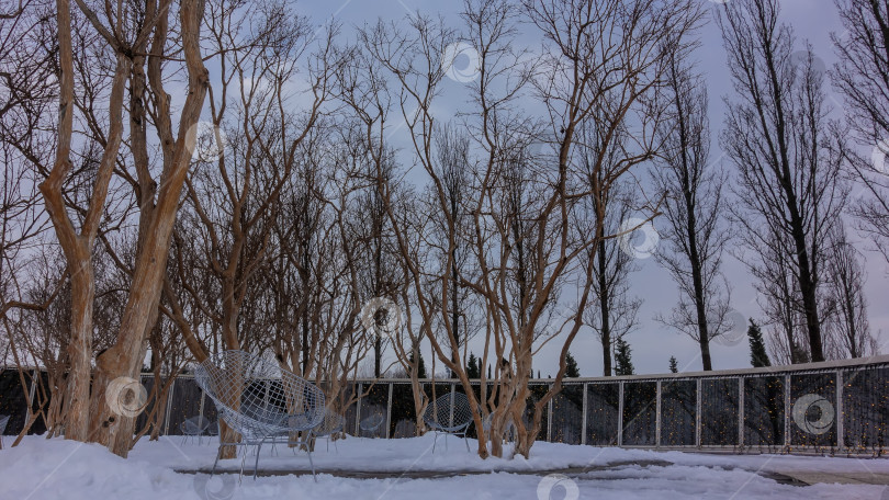 Скачать Зимний вечер в парке. Пустые сетчатые стулья на заснеженной земле. фотосток Ozero