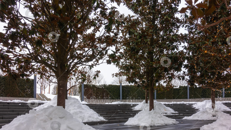 Скачать В городском парке зима. После снегопада ступени были расчищены. фотосток Ozero