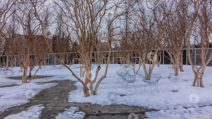 Скачать В городском парке зима. Сетчатые металлические стулья стоят в снегу. фотосток Ozero