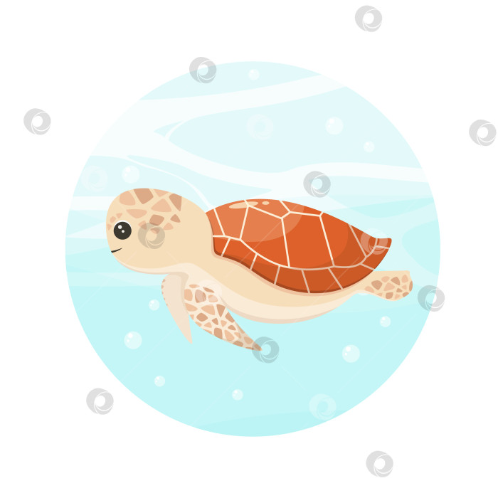 Скачать Симпатичная морская черепаха фотосток Ozero