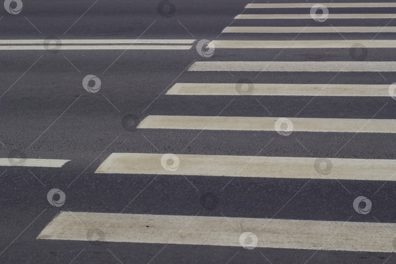 Скачать асфальтированная дорога, нанесенная белой краской разметка пешеходного перехода. фотосток Ozero
