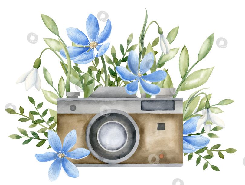 Скачать Винтажный фотоаппарат с синими цветами. Нарисованная от руки акварельная иллюстрация старого ретро-фотооборудования и лесной ромашки на белом изолированном фоне. Красочный рисунок с дикорастущими растениями для значка или логотипа фотосток Ozero