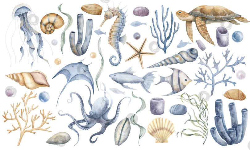 Скачать Большой подводный набор с морским коньком, медузой, кораллами и черепахой. Нарисованная от руки акварельная иллюстрация морских водорослей и подводных животных для клипарта на изолированном фоне. Красочный рисунок с морскими ракушками фотосток Ozero