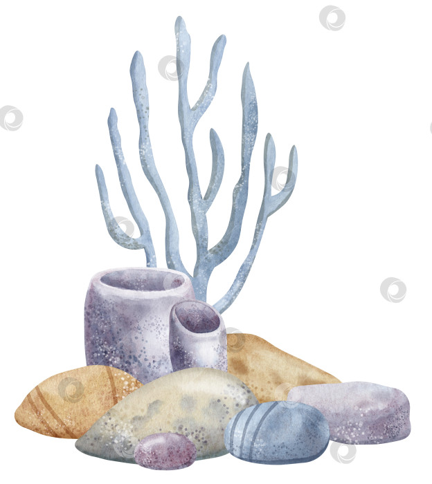 Скачать Кораллы и камни морского дна на изолированном фоне. Нарисованная от руки акварельная иллюстрация с морским дном и морскими водорослями для значка. Подводный красочный рисунок для клипарта. Подводный эскиз в пастельных тонах фотосток Ozero