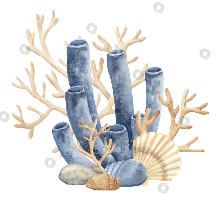 Скачать Коралловые рифы с ракушками и морским дном. Акварельная рисованная иллюстрация морского дна на изолированном фоне для значка или логотипа. Подводная композиция с морскими водорослями и камнями в бежевом и голубом цветах фотосток Ozero
