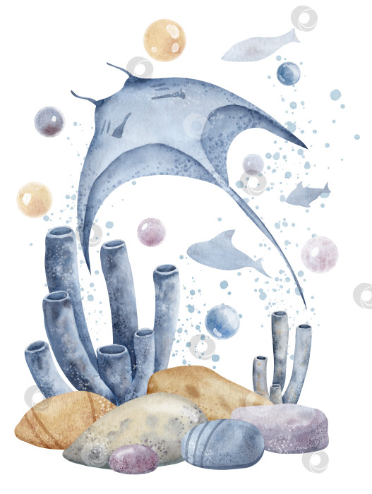 Скачать Жалящий скат с коралловыми рифами и морским дном. Хан нарисовал акварельную иллюстрацию ската и океанского дна на изолированном фоне. Рисунок Манты с рыбками для подводного дизайна. Подводный набросок фотосток Ozero