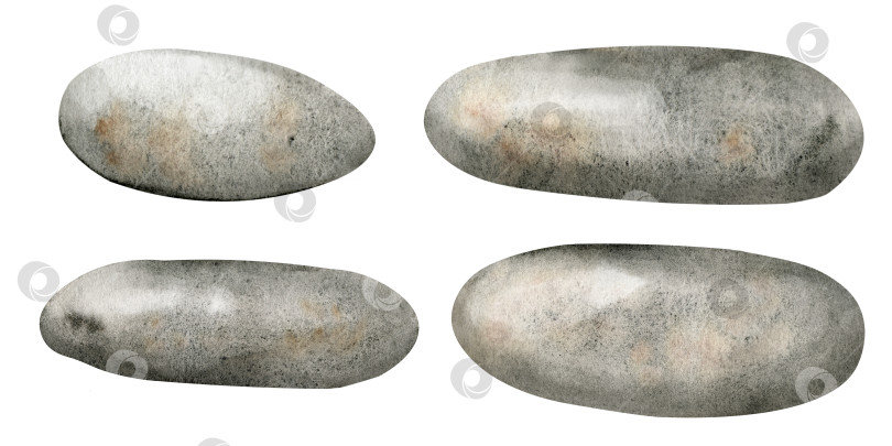 Скачать Набор морских камней разных размеров, выделенных на заднем плане. Нарисованная от руки акварельная иллюстрация серой подводной гальки. Украшение аквариума. Набор камней для спа-дизайна. Коллекция минералов фотосток Ozero